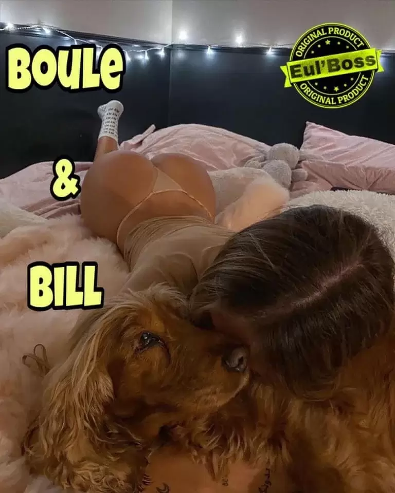 Boule et bill