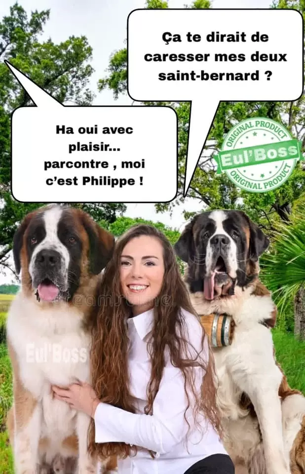 Caresser mes deux st bernard