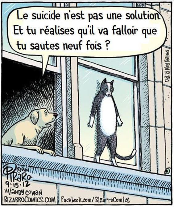 Chat suicidaire