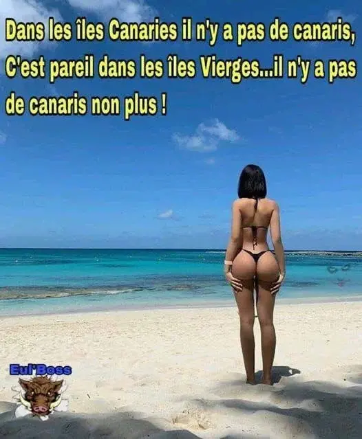 Dans les îles...