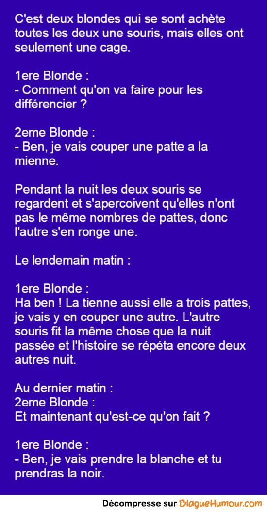 Deux blondes et deux souris