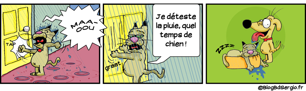 Un temps de chien !