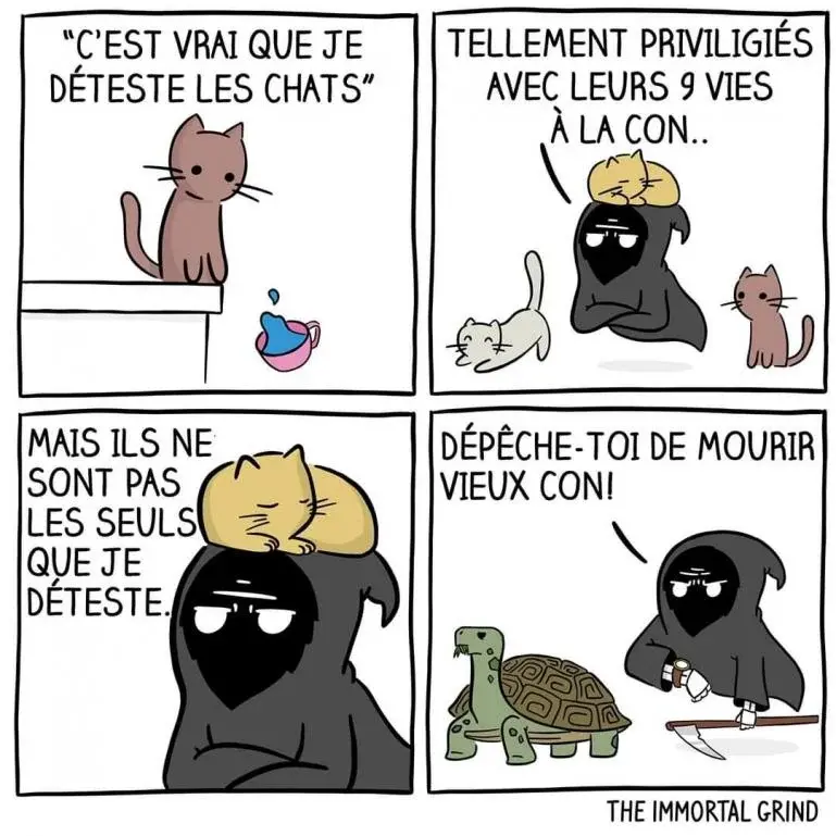 Je déteste les chats