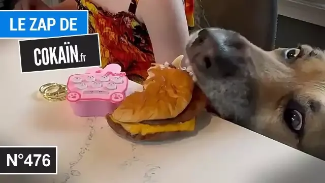 Le zap de cokain fr n 476