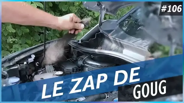 Le zap de goug n 106