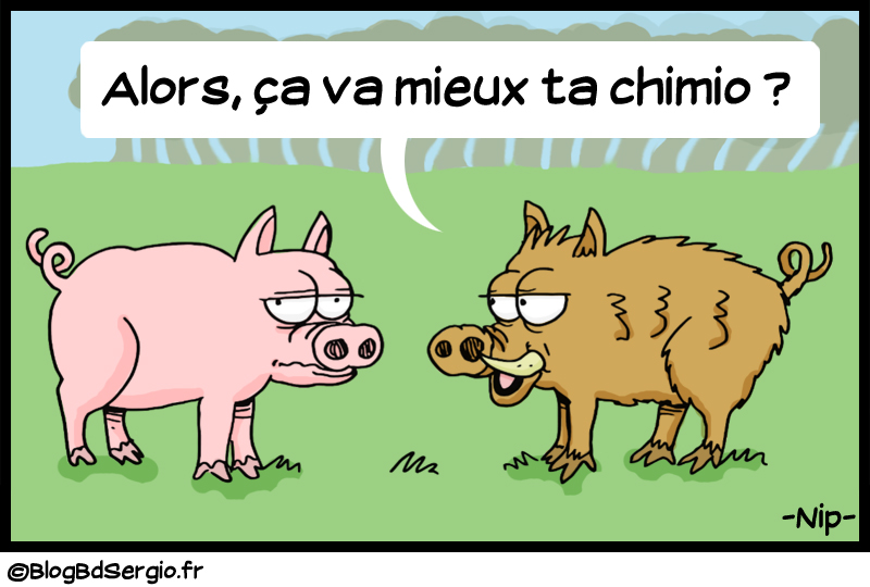 Le sanglier et le cochon