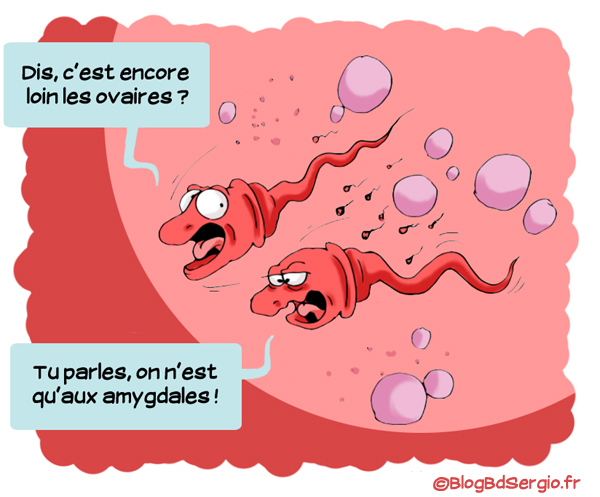 Strip bd: blague spermatozoïde