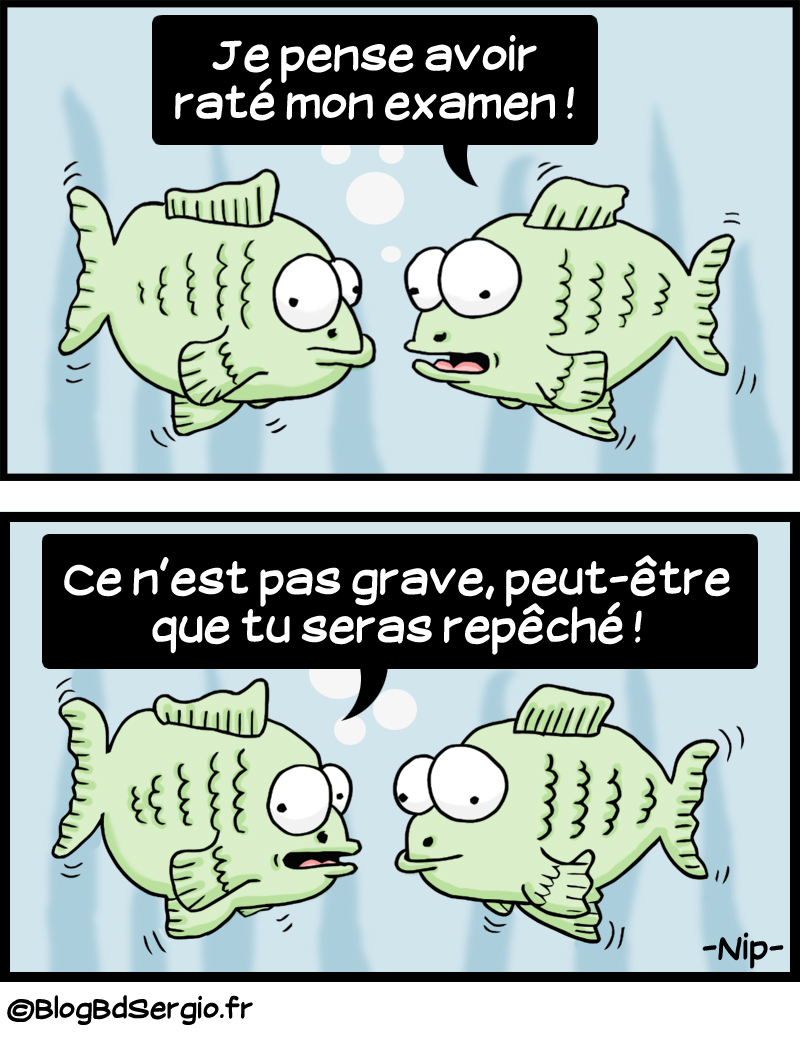 https://www.blaguehumour.com/medias/images/poissonnostress.jpg