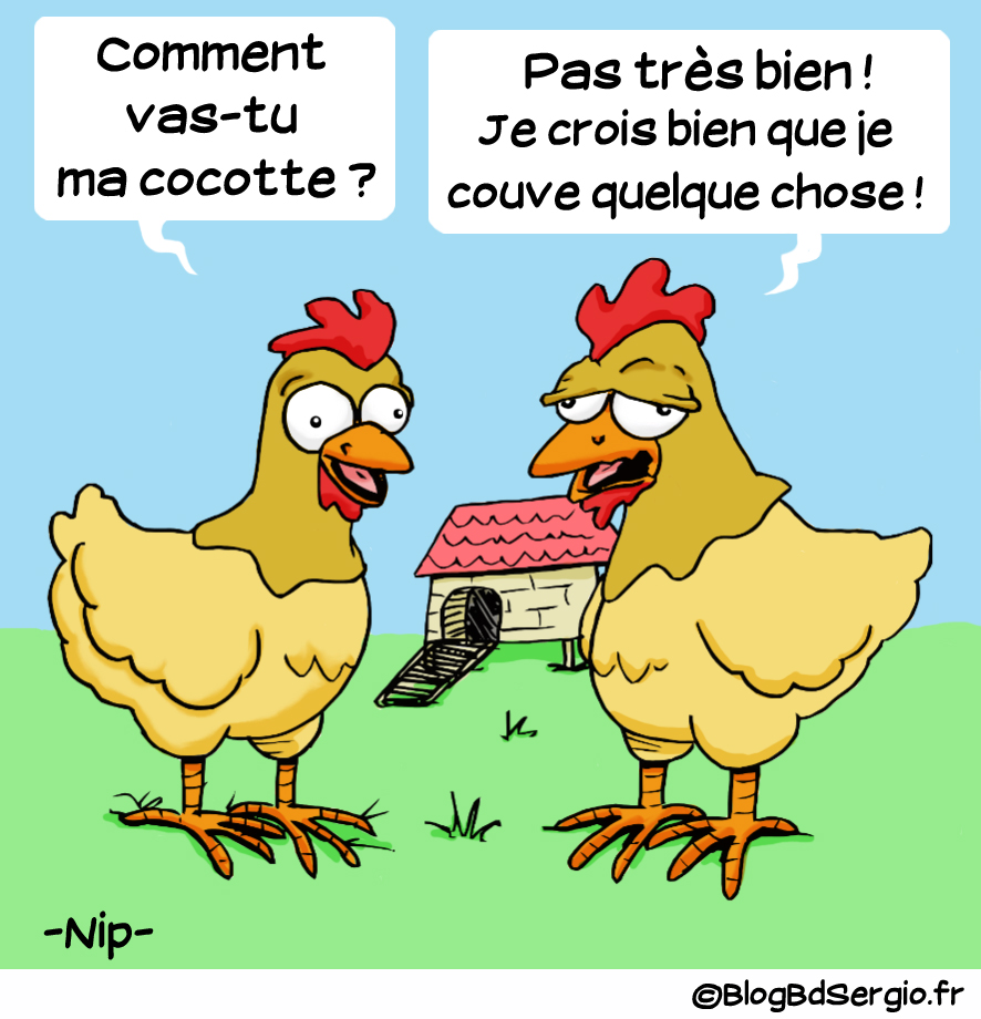 Poule patraque