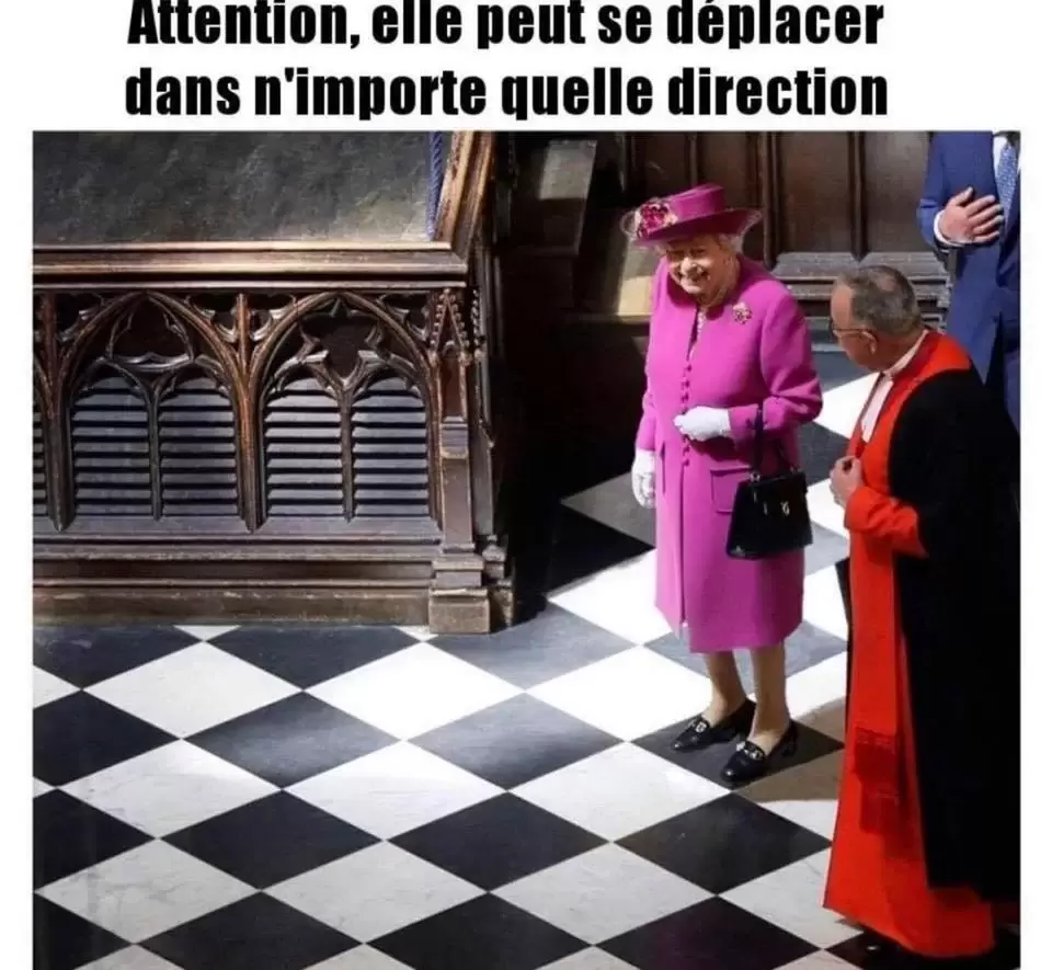 Regles des echecs