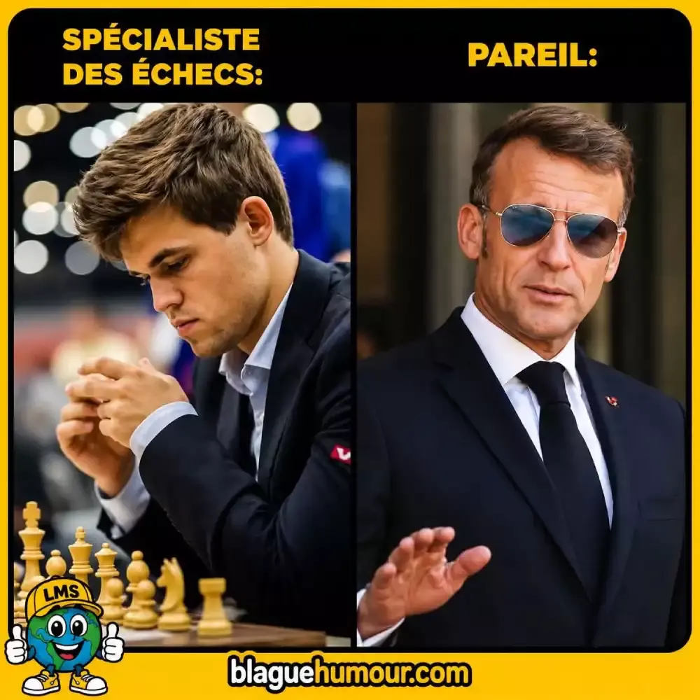 Spe cialistes des e checs