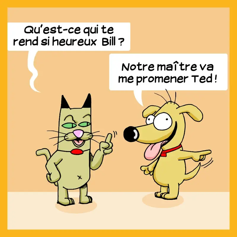 BD Ted et Bill