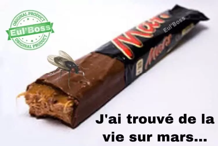 Vie sur mars