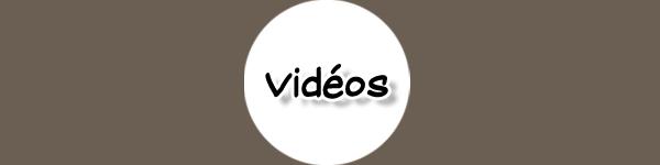 Vignette videos1